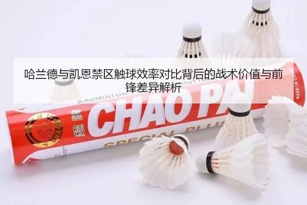 哈兰德与凯恩禁区触球效率对比背后的战术价值与前锋差异解析
